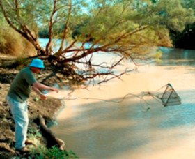 Charleville - Ward River Fishing Spot - Hobart Tourism 0