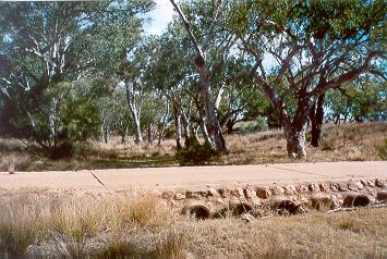Charleville - Ward River Fishing Spot - Hobart Tourism 1