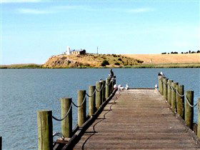 Moorook SA Tourism TAS