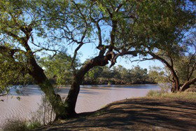 Charleville - Bakers Bend Warrego River Fishing Spot - Tourism TAS 1