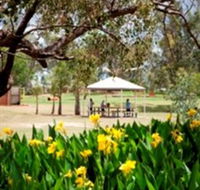 Charleville - Graham Andrews Parklands - Tourism TAS