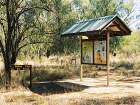 Charleville QLD Hobart Tourism