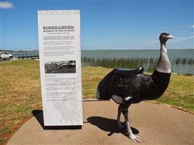 Birdman Of The Coorong - Tourism TAS 0