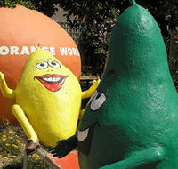 Orange World - Hobart Tourism