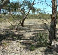 Tintinara Walking Trail - Hobart Tourism