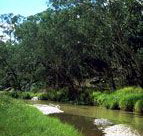 Salvator Rosa Section - Carnarvon National Park - Hobart Tourism
