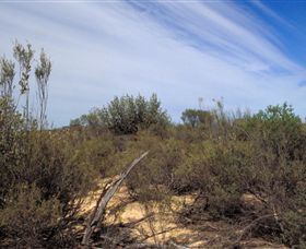 Wyperfeld National Park - Hobart Tourism 0
