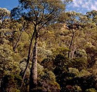 Ka Ka Mundi Carnarvon National Park - Hobart Tourism