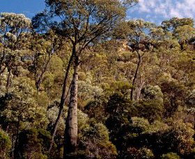 Ka Ka Mundi, Carnarvon National Park - Tourism TAS 0