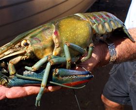Fairbairn Dam, Lake Maraboon - Hobart Tourism 3