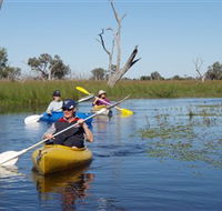 Marsh Meanders - Hobart Tourism