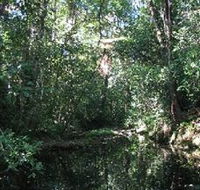 Wabunga Wayemba Charmillan Creek walking track - Tourism TAS