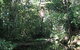 Misty Mountains Wilderness Walking Tracks - thumb 0