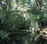 Misty Mountains Wilderness Walking Tracks - Tourism TAS