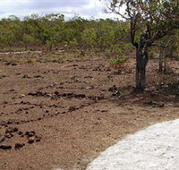 Wurrwurrwuy Garanhan Macassan Beach Interpretive Walk - Tourism TAS