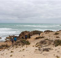 The Seaview Walking Trail - Tourism TAS