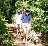 Wongabel State Forest - Hobart Tourism
