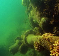 Wreck Diving at Magnetic Island - Tourism TAS