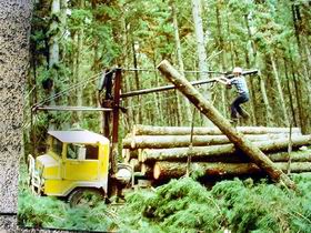 Nangwarry Forestry And Logging Museum - Hobart Tourism 3