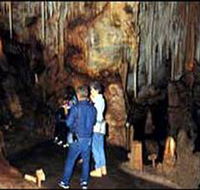 Tantanoola Caves Conservation Park - Tourism TAS