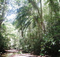Mount Lewis National Park - Tourism TAS