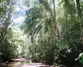 Mount Lewis National Park - Tourism TAS 0