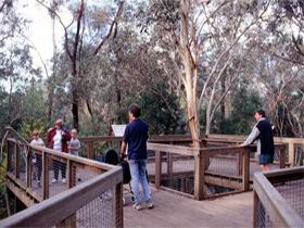 Valley Lake Conservation Park - Tourism TAS 1