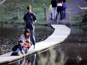 Valley Lake Conservation Park - Tourism TAS 2