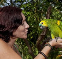 Birdworld Kuranda - Tourism TAS