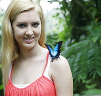 Australian Butterfly Sanctuary - Tourism TAS