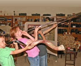 The Bible Museum - Hobart Tourism 2