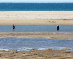 Alva Beach - Tourism TAS 0