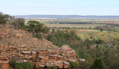 Jacks Creek Walking Track - Hobart Tourism 0