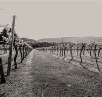 Halls Gap Estate - Hobart Tourism