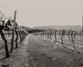 Halls Gap Estate - Hobart Tourism 0