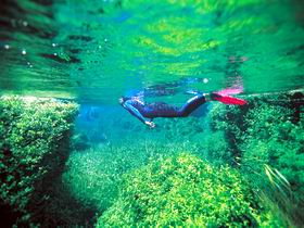 Piccaninnie Ponds Conservation Park - Tourism TAS 0