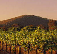 Taltarni Vineyards - Hobart Tourism
