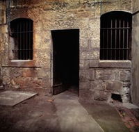 J Ward Museum - Hobart Tourism