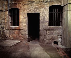 J Ward Museum - Hobart Tourism 0