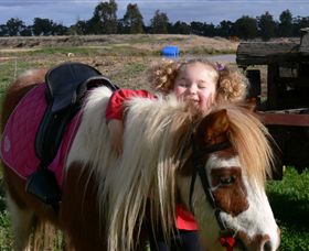 Billabong Ranch - Tourism TAS 1