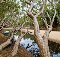 Oyala Thumotang National Park CYPAL - Tourism TAS