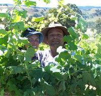 Wimmera Hills Winery - Tourism TAS