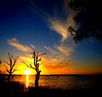 Lake Cowal - Hobart Tourism