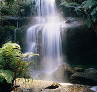 Mount Buangor State Park - Tourism TAS