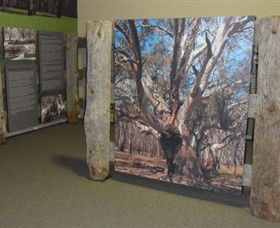 Barmah Forest Heritage And Education Centre - Hobart Tourism 2