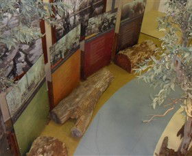 Barmah Forest Heritage And Education Centre - Hobart Tourism 4