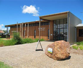 Pilliga Forest - Hobart Tourism 0