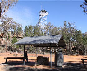 Pilliga Forest - Hobart Tourism 2