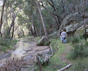 Pilliga Forest - Hobart Tourism 3