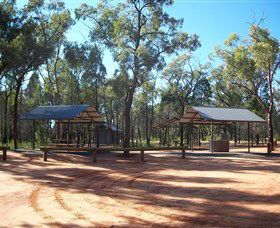 Pilliga Forest - Hobart Tourism 6